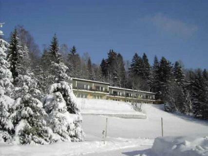 Apartamento Birkenhof - Schimek Bürserberg Exterior foto
